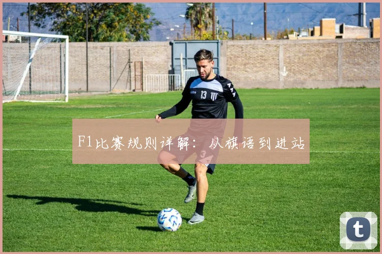 F1比赛规则详解：从旗语到进站