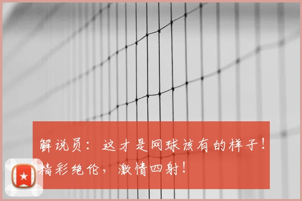 解说员：这才是网球该有的样子！精彩绝伦，激情四射！