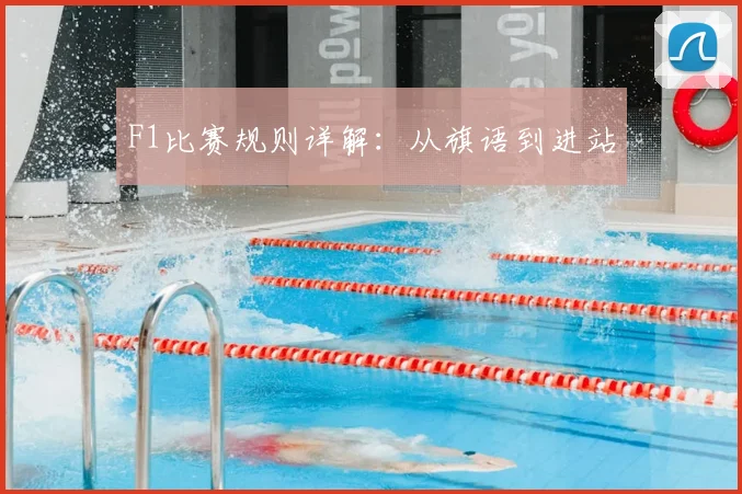 F1比赛规则详解：从旗语到进站